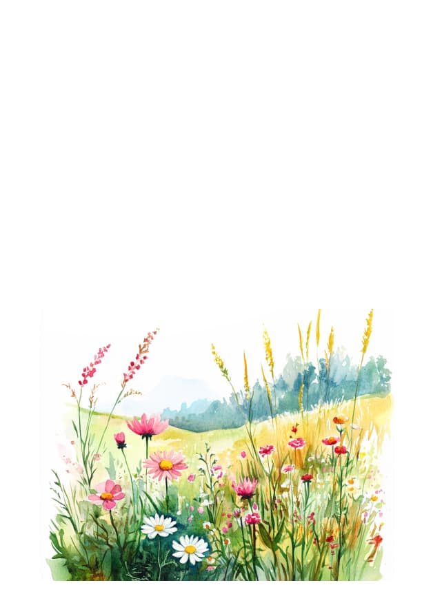 The Calm Beyond Anxiety — image 2 of 2